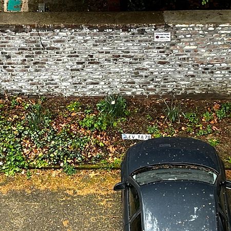 Gemuetliche, Ganze Wohnung In Ruhiger, Zentraler Lage レバークーゼン エクステリア 写真